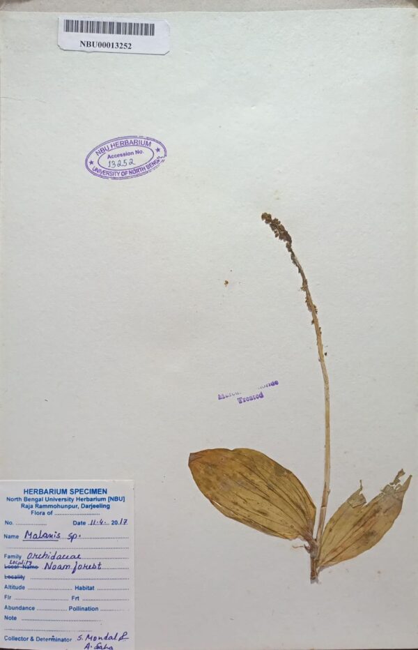 DocScanner 7 Apr 2026 4-07 pm – Copy